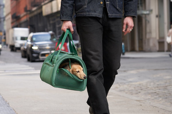 Things To Consider When Selecting a Dog Carrier