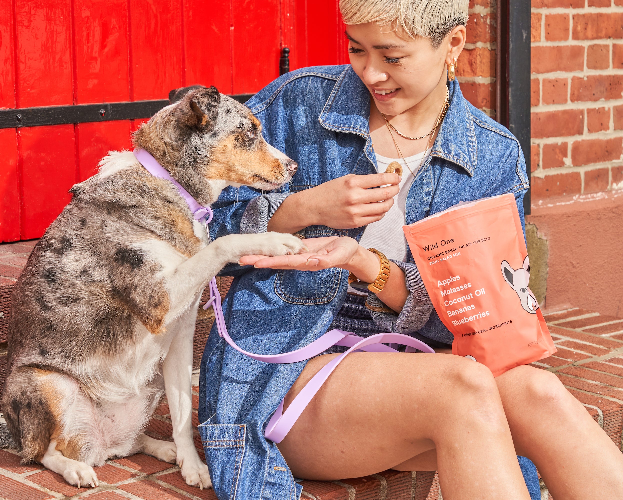 5 of The Best Dog Treats For Training They re Healthy Too Wild One