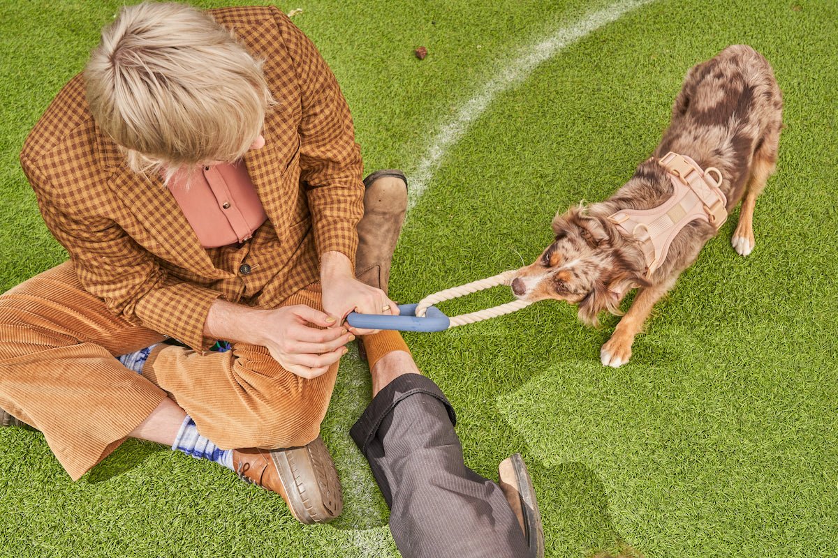 Dog Digging Toys: Engaging Playtime for Your Pup