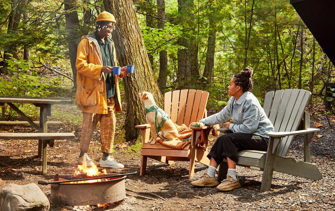 Outdoor dog gear: camping with your dog, hiking with your dog, best harness for hiking, durable leash, waterproof dog accessories, weatherproof dog gear, traveling with your dog, dog travel essentials