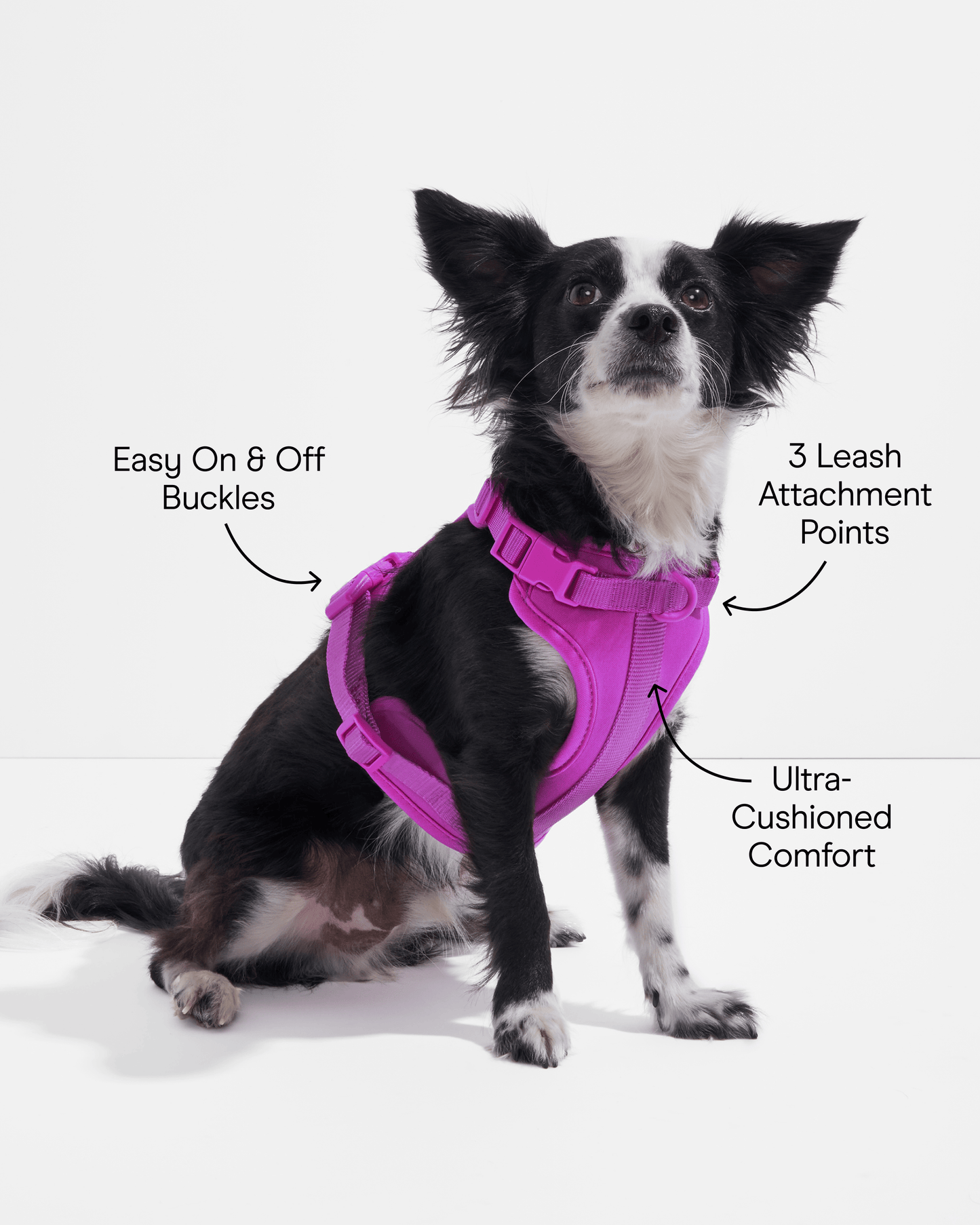 Cushioned Dog Harness