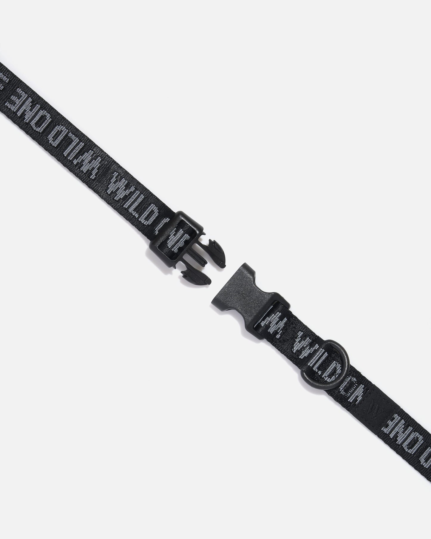 Quick-Release Dog Collar