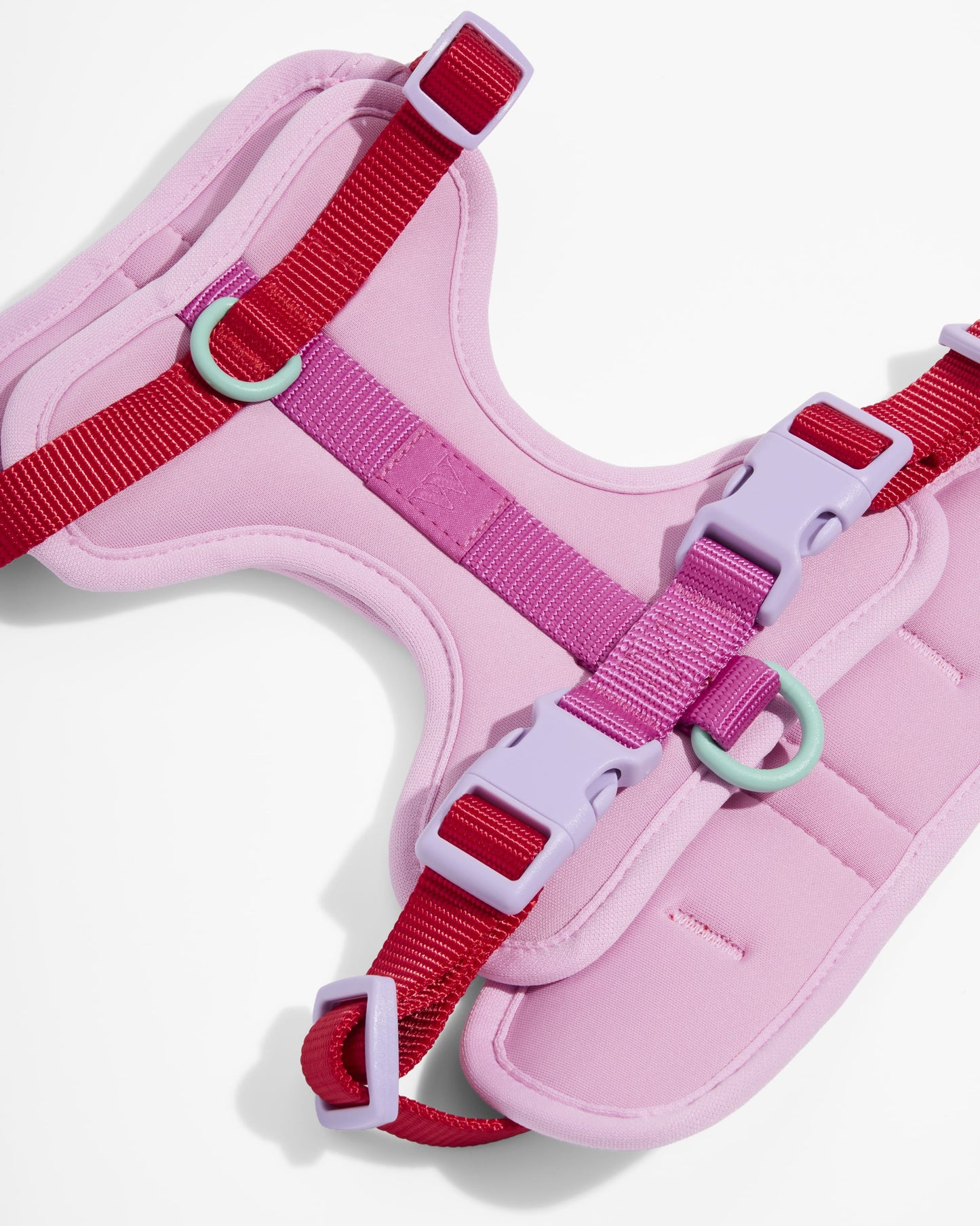 Cushioned Dog Harness