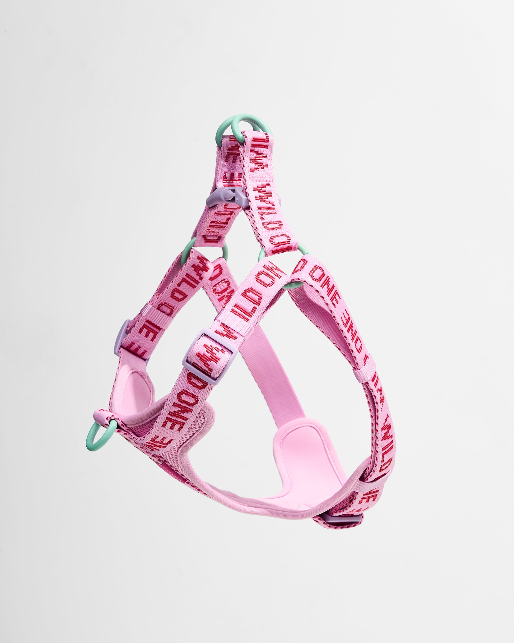Bubblegum Colorblock