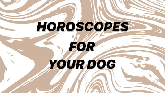 What To Buy Your Dog Based on Their Sign