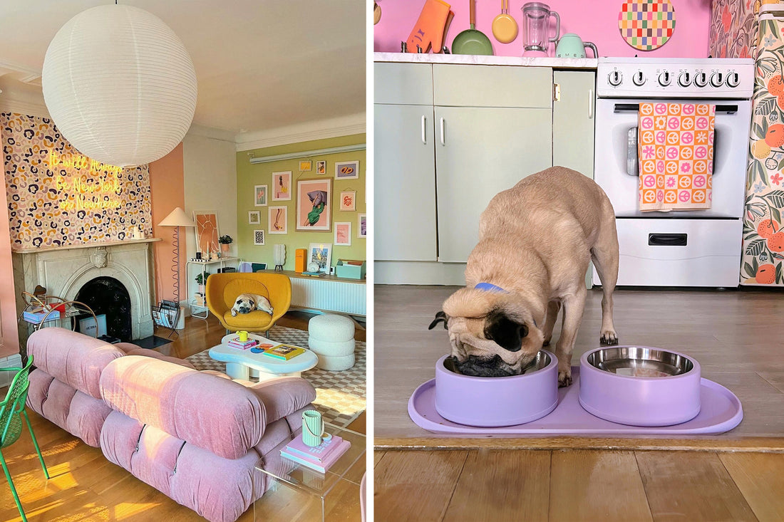 Colorful home enthusiast, Maitri, chats interior design and pug life.