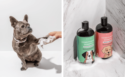 Using A Dog Bath To Reduce Stress: how to give a dog a bath, dog anxiety, best dog grooming products, how often should you bathe your dog?