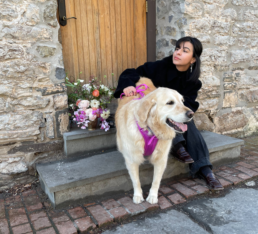 A Chat with Floral Designer, Small-Batch Ceramics Artist, and Dog Mom, Rabab!