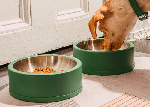 The Best Dog Bowls: non-slip dog bowls, matching dog bowls, modern dog bowls, slow-feeder, dog food bowls, large dog bowls, stainless steel dog bowls