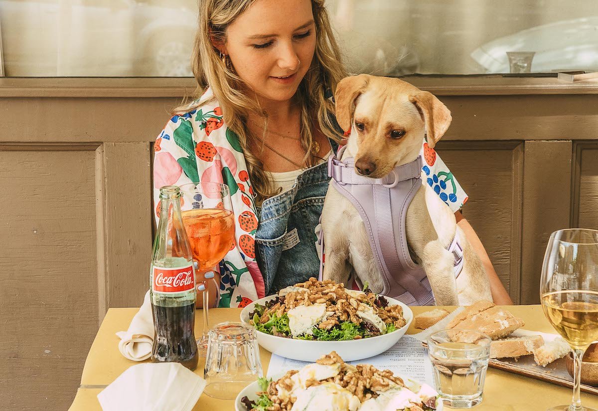 Pet Friendly Restaurants What Are the Best Pet Friendly Restaurants in New York City Wild One