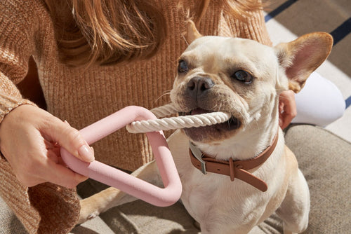 Best Dog Toys: durable dog toys, dog chew toys, tug toys, fetch toys, dog play, puppy teething, long lasting dog toys, rubber dog toys