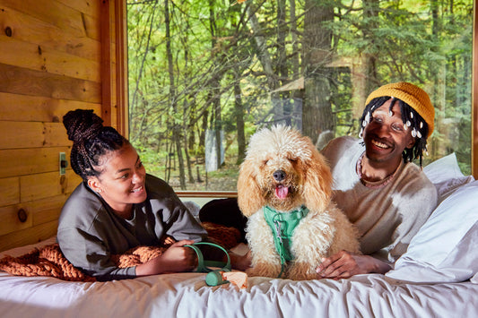 Where Are the Dog-Friendly Hotels Near Me?: dog-friendly cities, best places to travel with your dog, pet-friendly hotels, pet-friendly vacations, dog travel, traveling with your dog, dog travel carrier, pet carrier, airline pet carrier