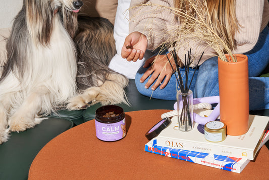 These Calming Dog Treats Bring the Doggie Day Spa to Your Pet: dog calming treats, calming supplements, cbd, dog anxiety, dog stress, separation anxiety, dog shaking, signs of stress in dogs, dog grooming, dog spa 