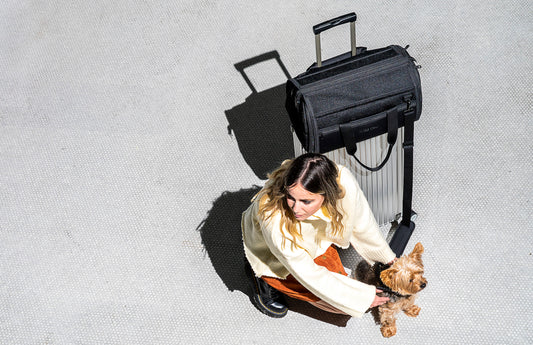 Tips for traveling with your dog: dog carrier, travel carrier, pet carrier, airline dog safety, dog-friendly airlines, ESA, service dogs