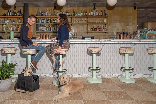 A Guide to Eating and Drinking With Your Dog: Manhattan, NY