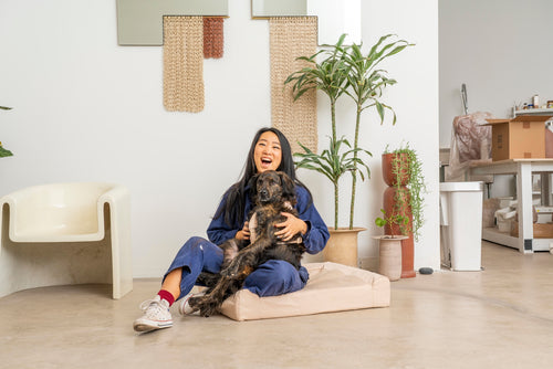 Pets & Their People: Eames Keeps Eny Calm In The Studio