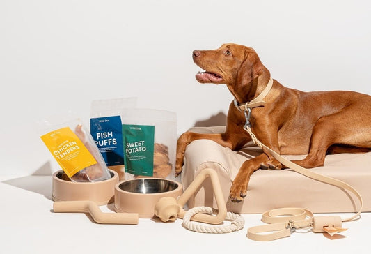 Wild One Starter Kit: The One-Stop Shop for All Your New Dog Gear