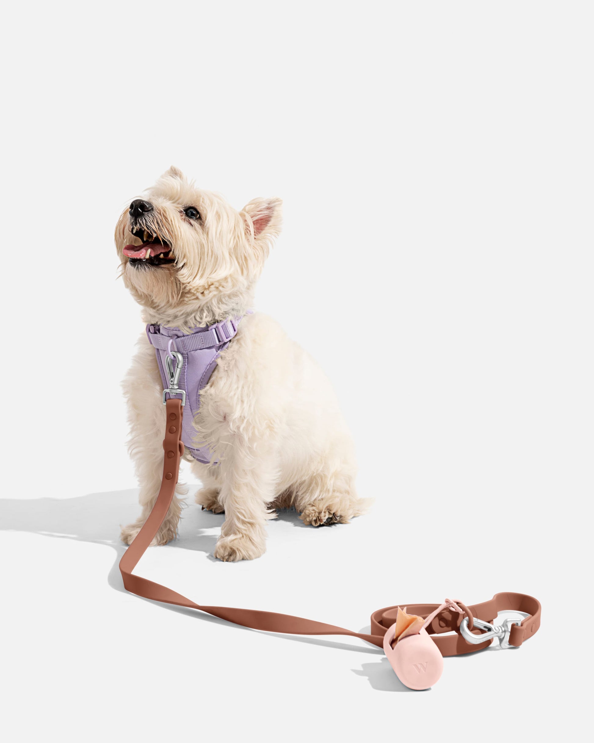 Wild One Dog Harness Small Navy Wild One Dog Harness Small Navy