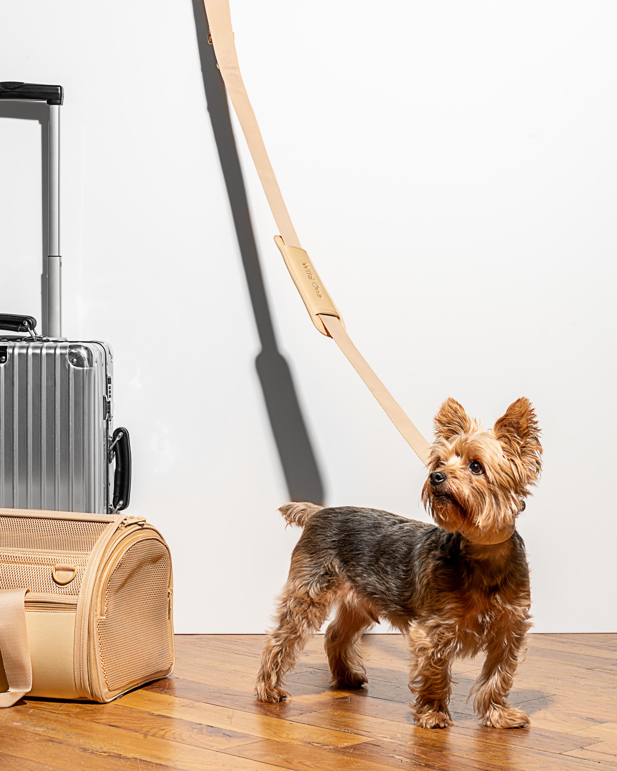 Airline Approved Pet + Dog Carrier | Travel-Safe - Wild One