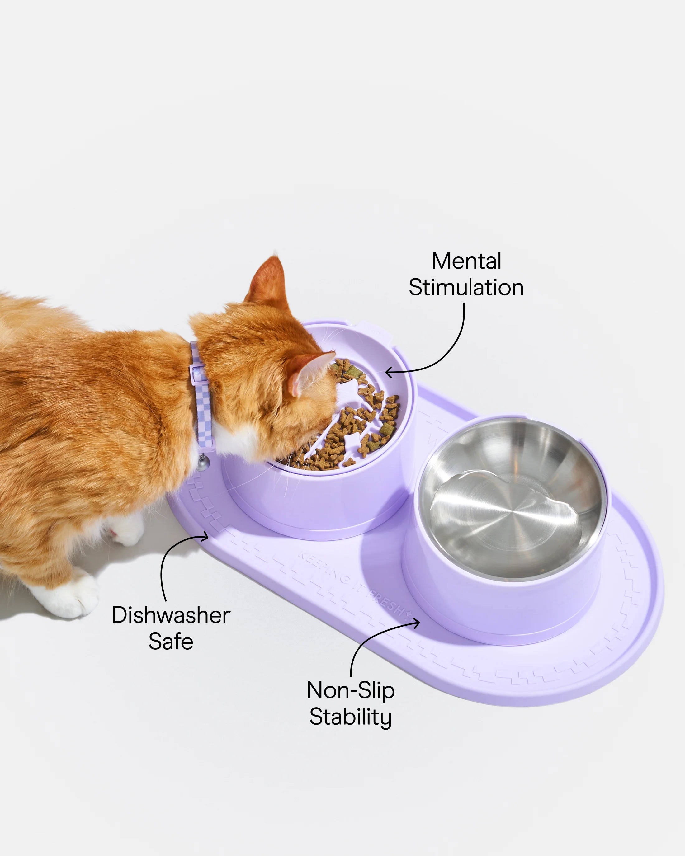 Cat Meal Kit – Wild One