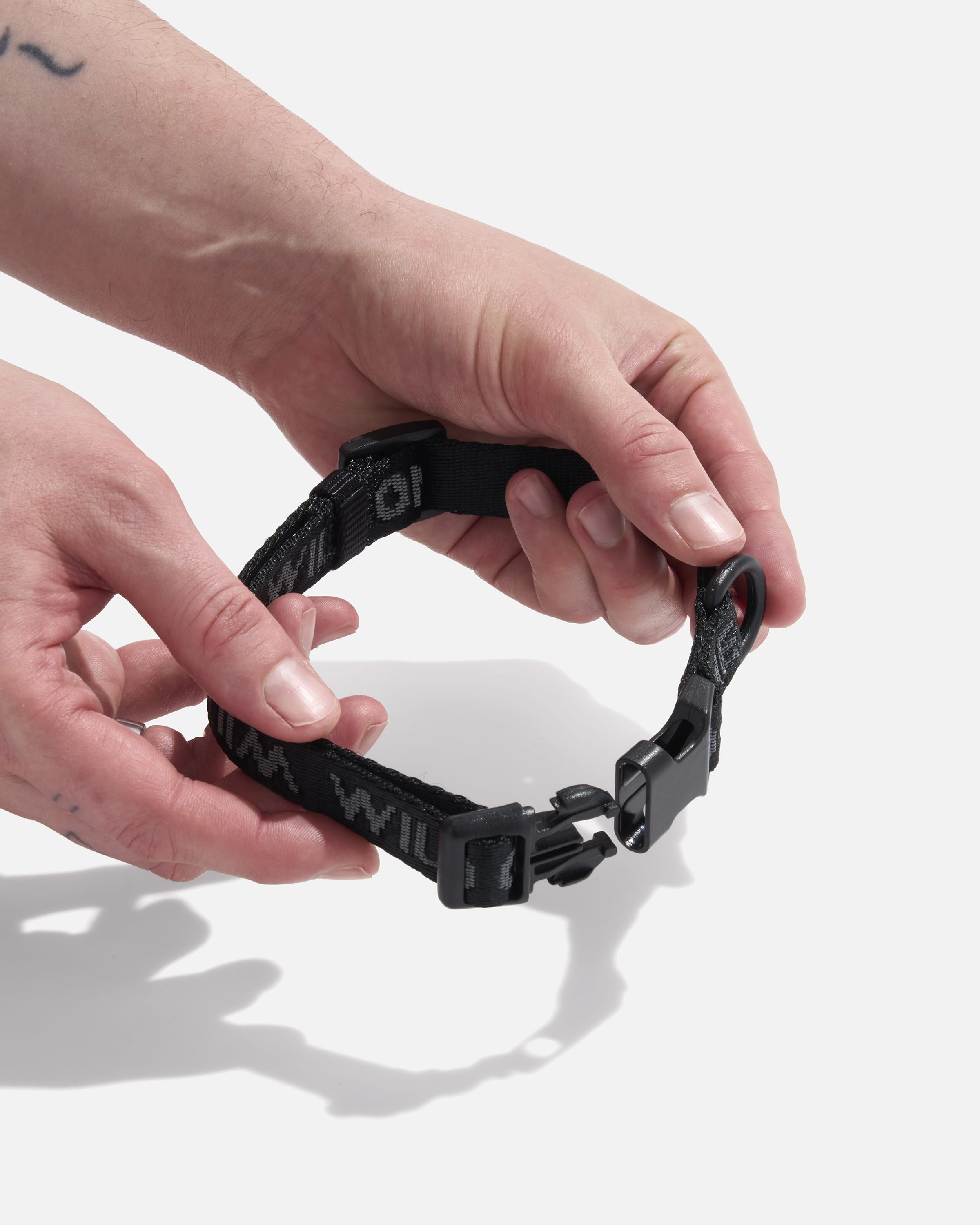 Quick-Release Dog Collar Flat | Wild One