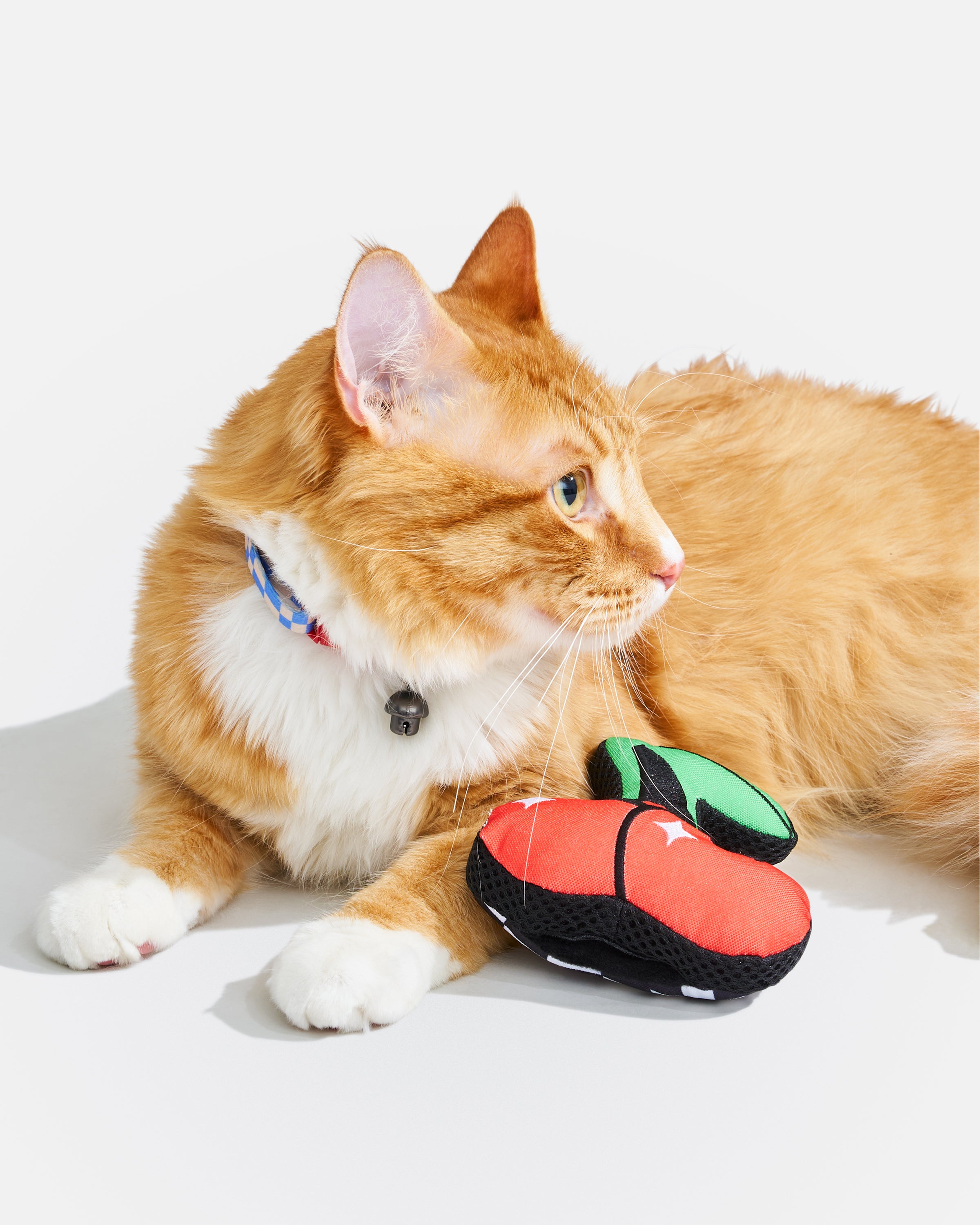 Playful Plush Cat Toy – Wild One