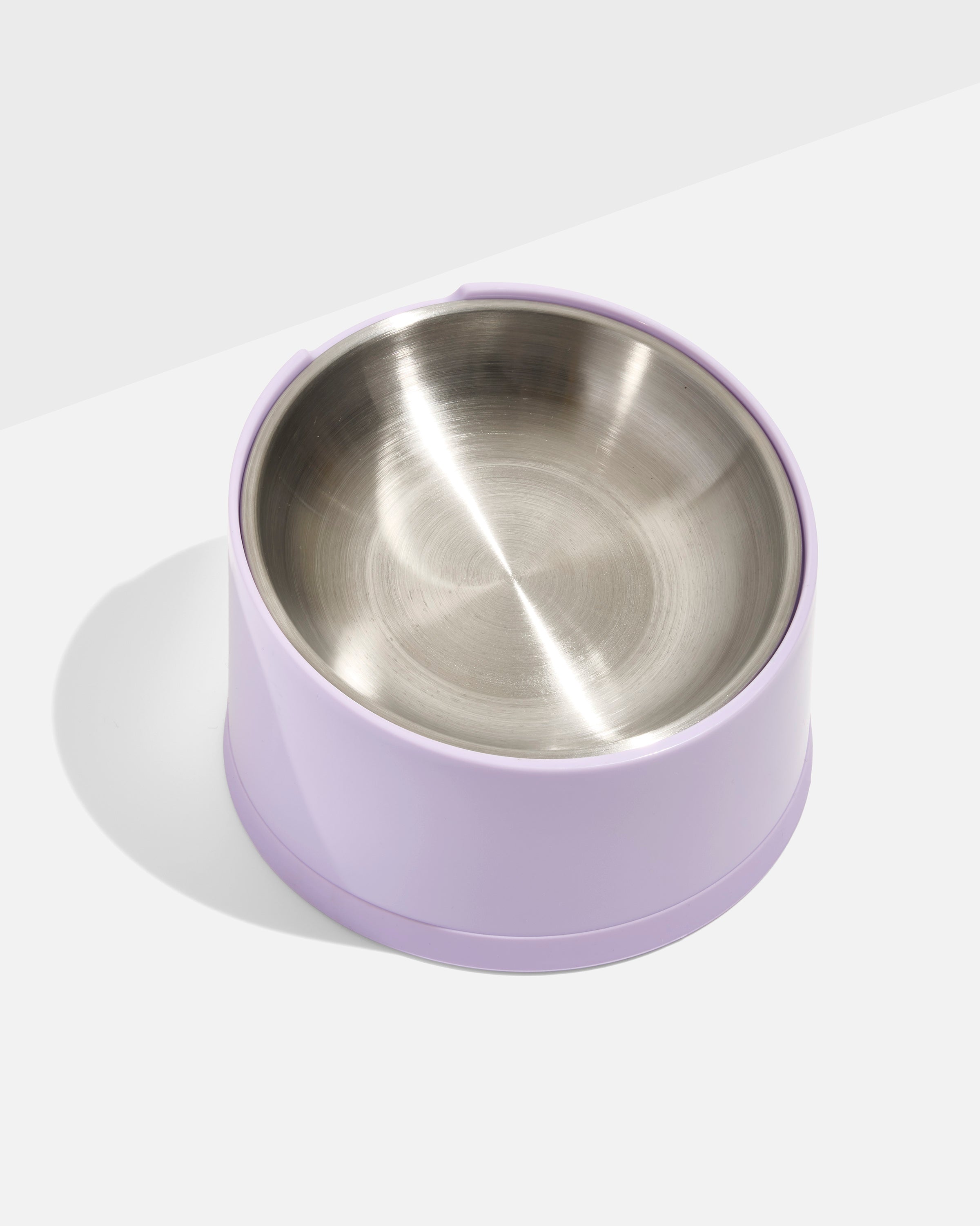 Slanted Cat Bowl – Wild One
