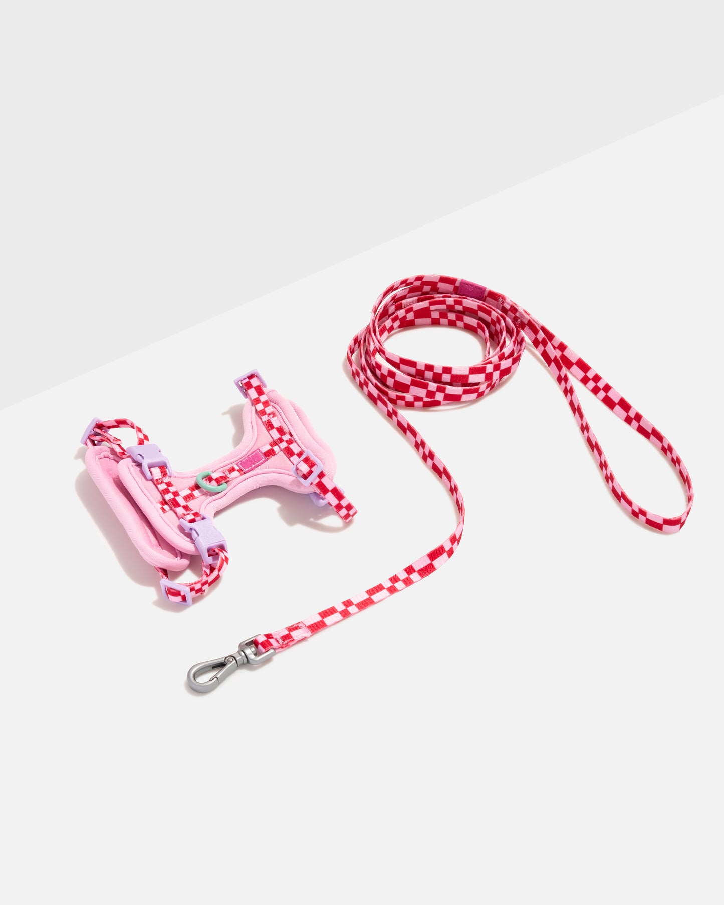 Bubblegum | Kitten Size