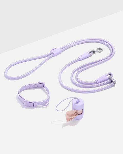 Quick-Release Collar + Hands-Free Rope Leash Dog Walk Kit – Wild One