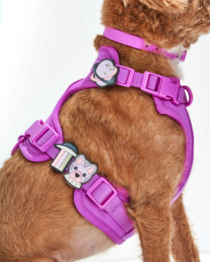 Tamer Harness SOFTY for Dogs