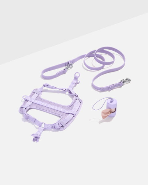 Step-In Harness + Waterproof Leash Dog Walk Kit – Wild One