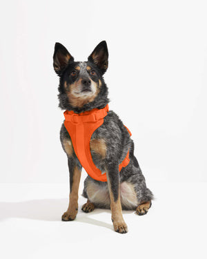 Black-V Summer Mesh Designer Dog Vest