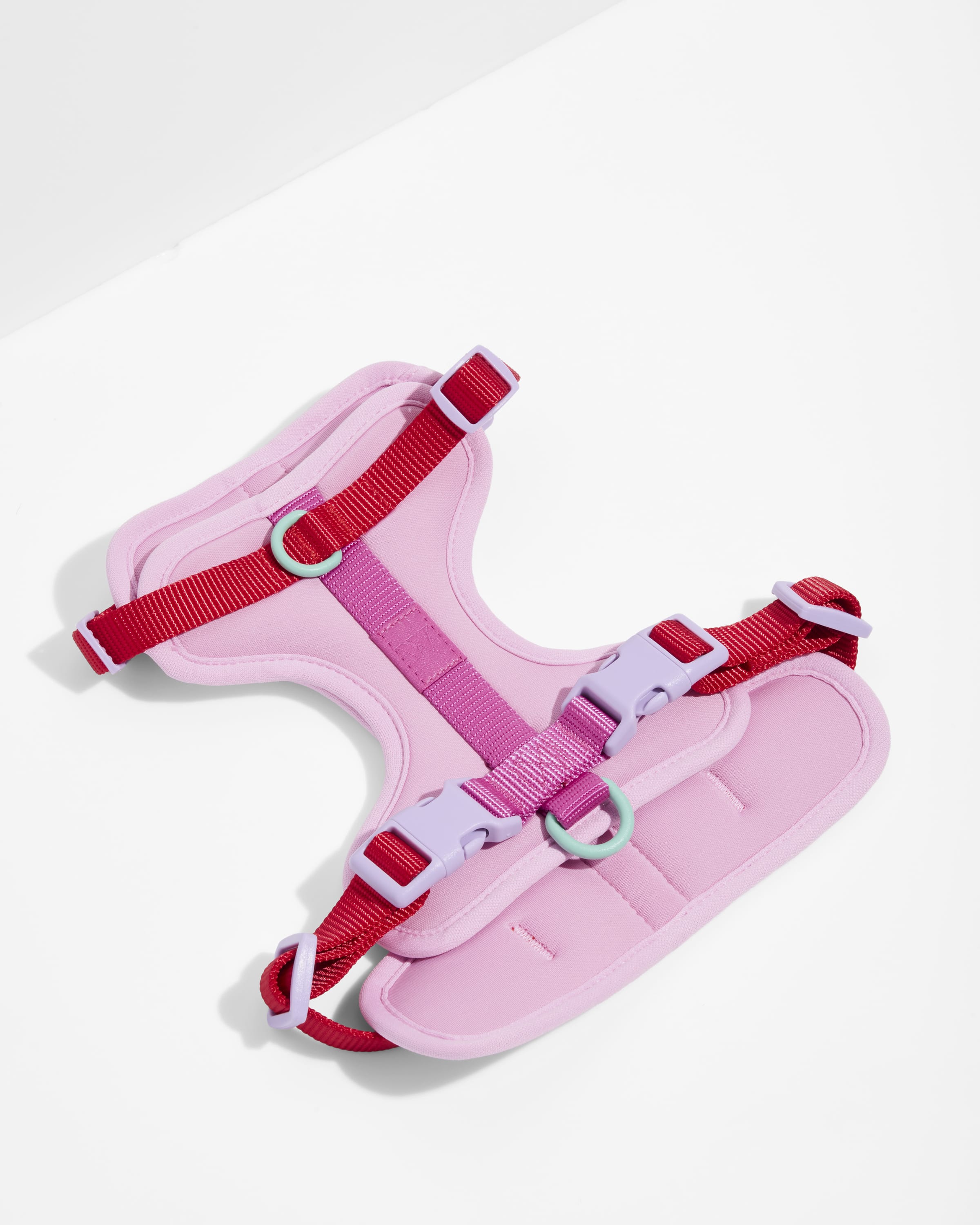 Wild One Dog Harness