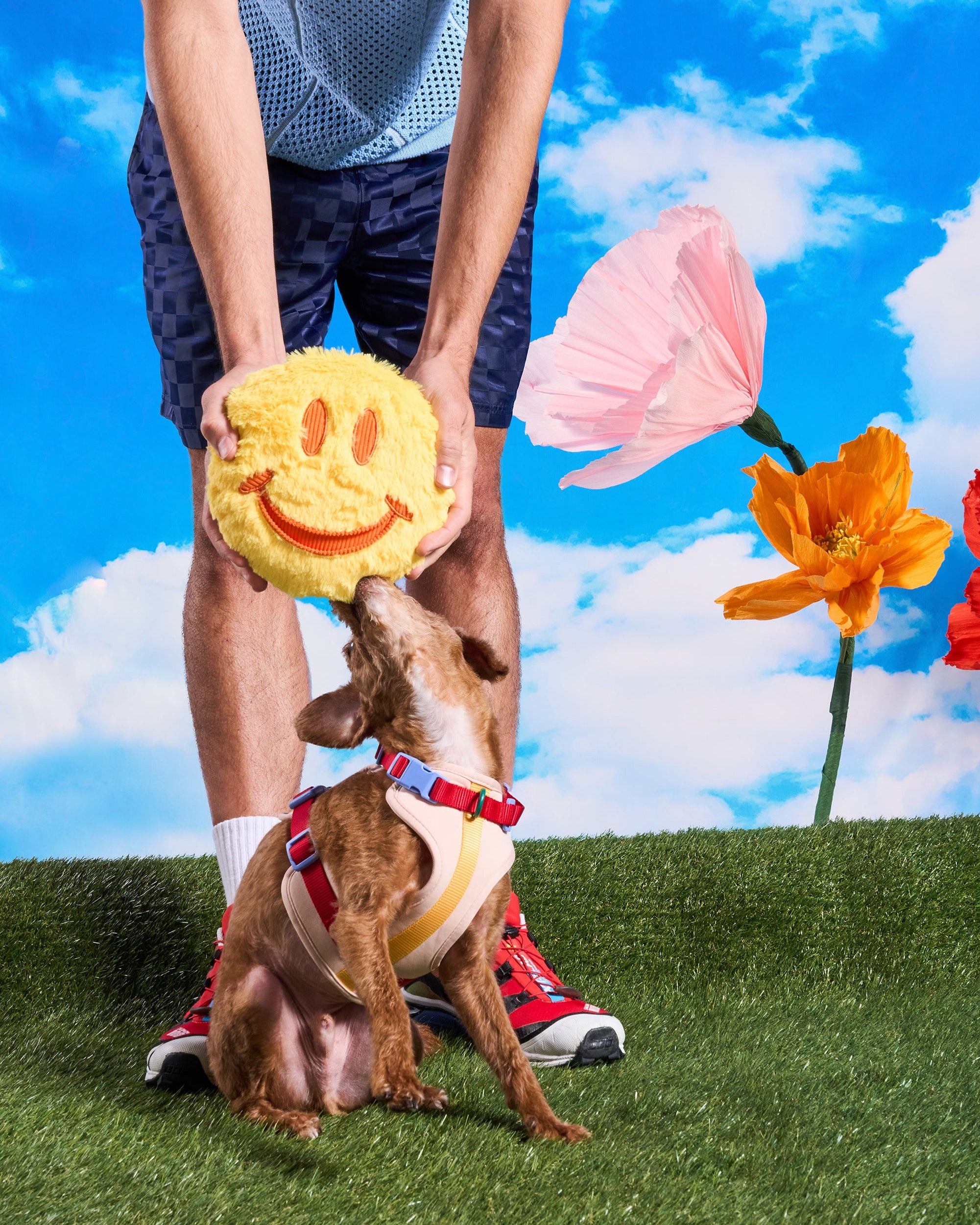 Playful Plush Chew Toys | Wild One