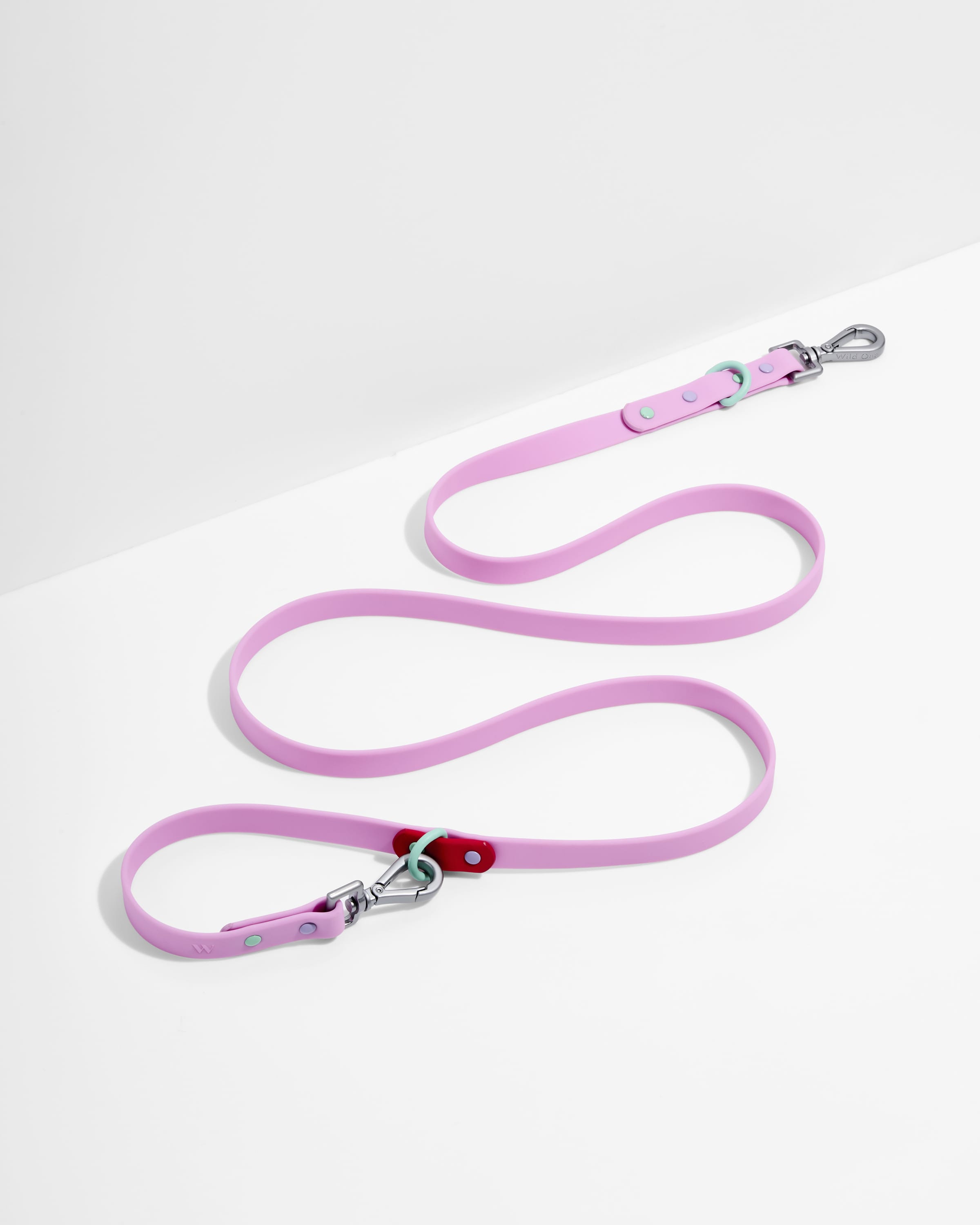 Wild One Dog Leash