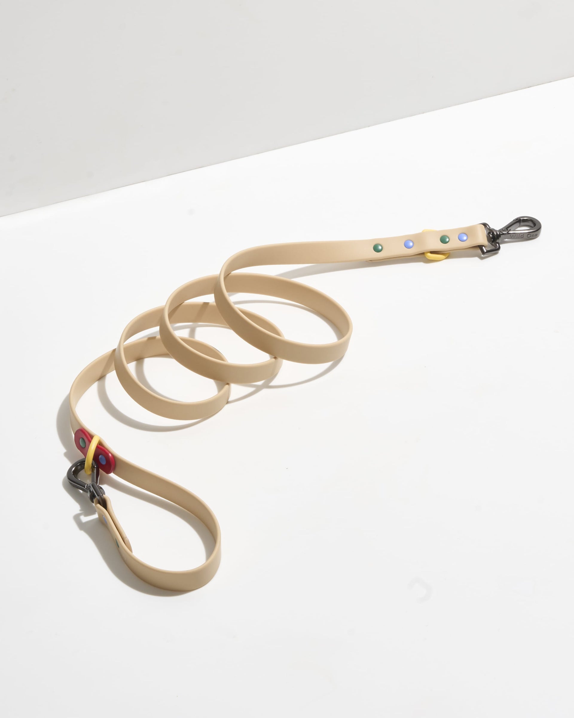 Classic Waterproof Leash