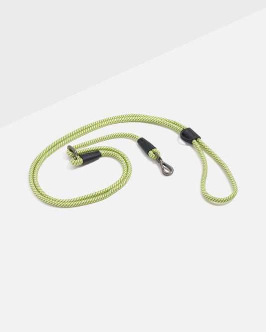 Hands-Free Rope Dog Leash – Limeade Reflective