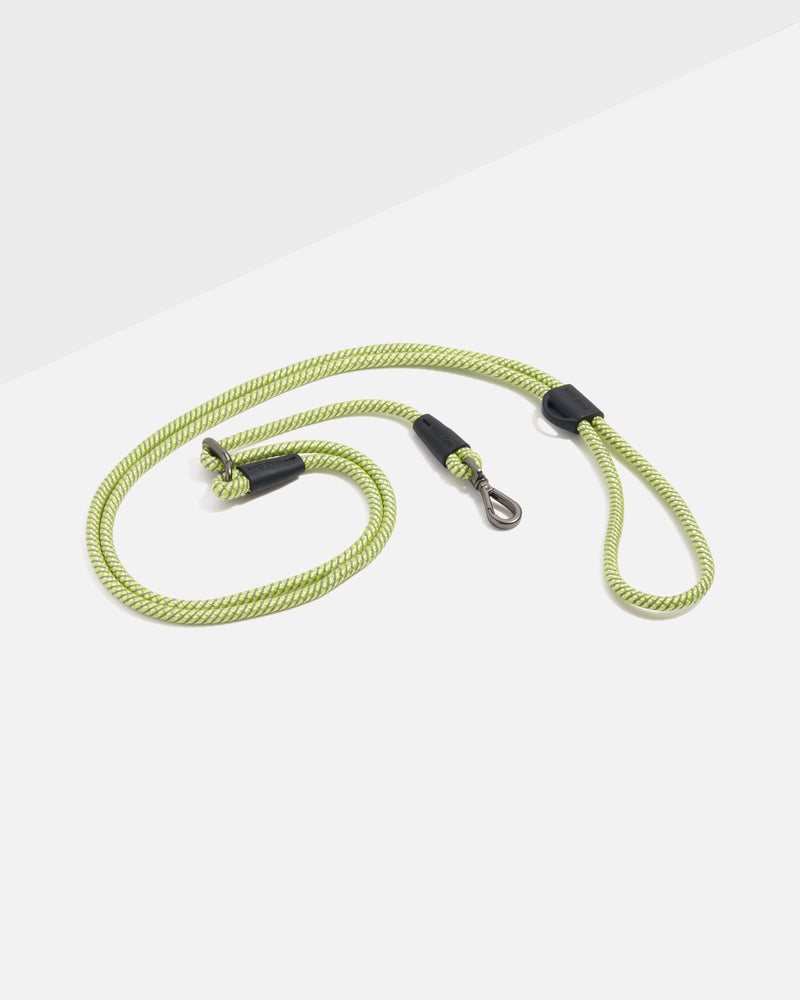 Hands-Free Rope Dog Leash