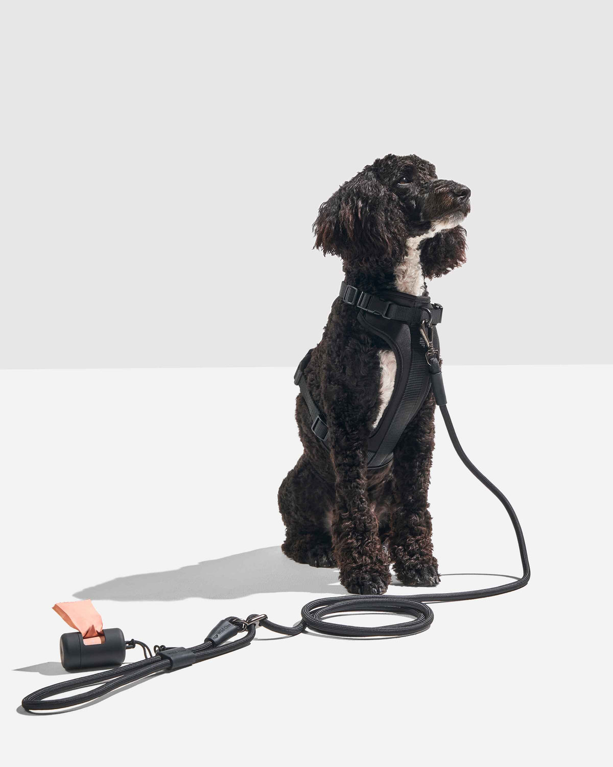 Hands-Free Rope Leash | Wild One