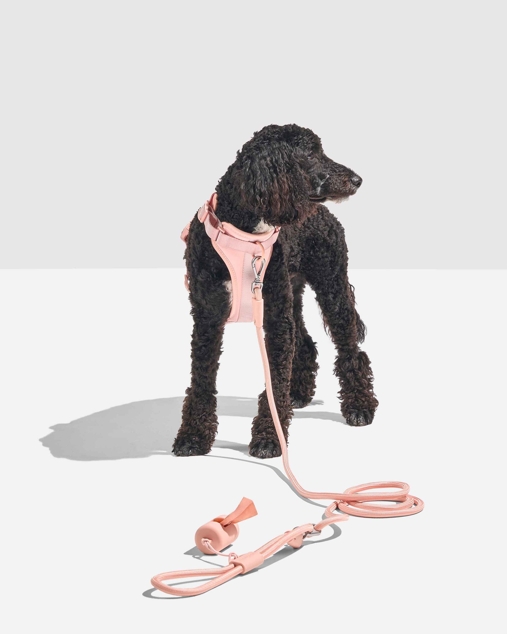 'Green' - Hands Free Braided Leash