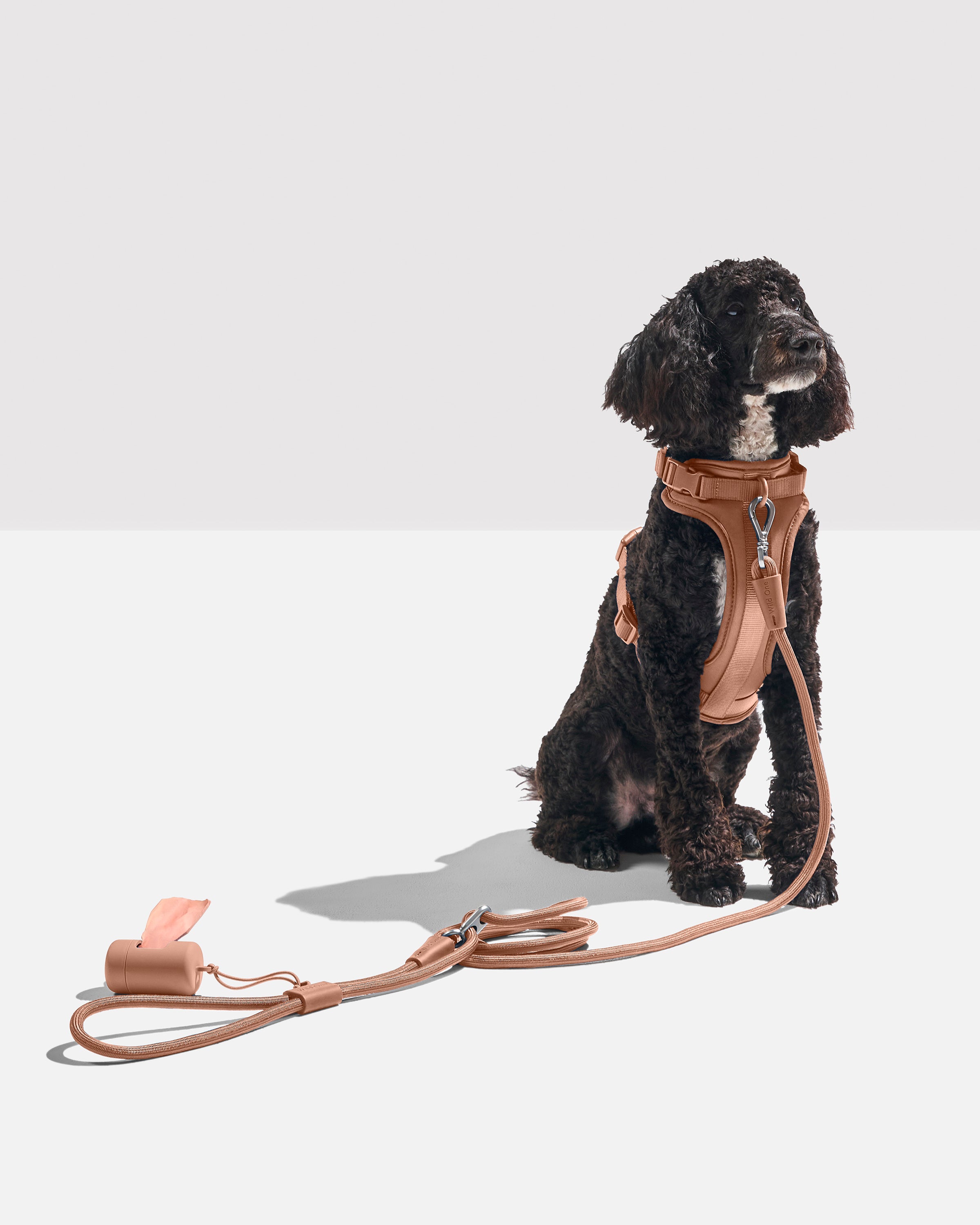 Hands-Free Rope Dog Leash, Dog Body Leash | Wild One