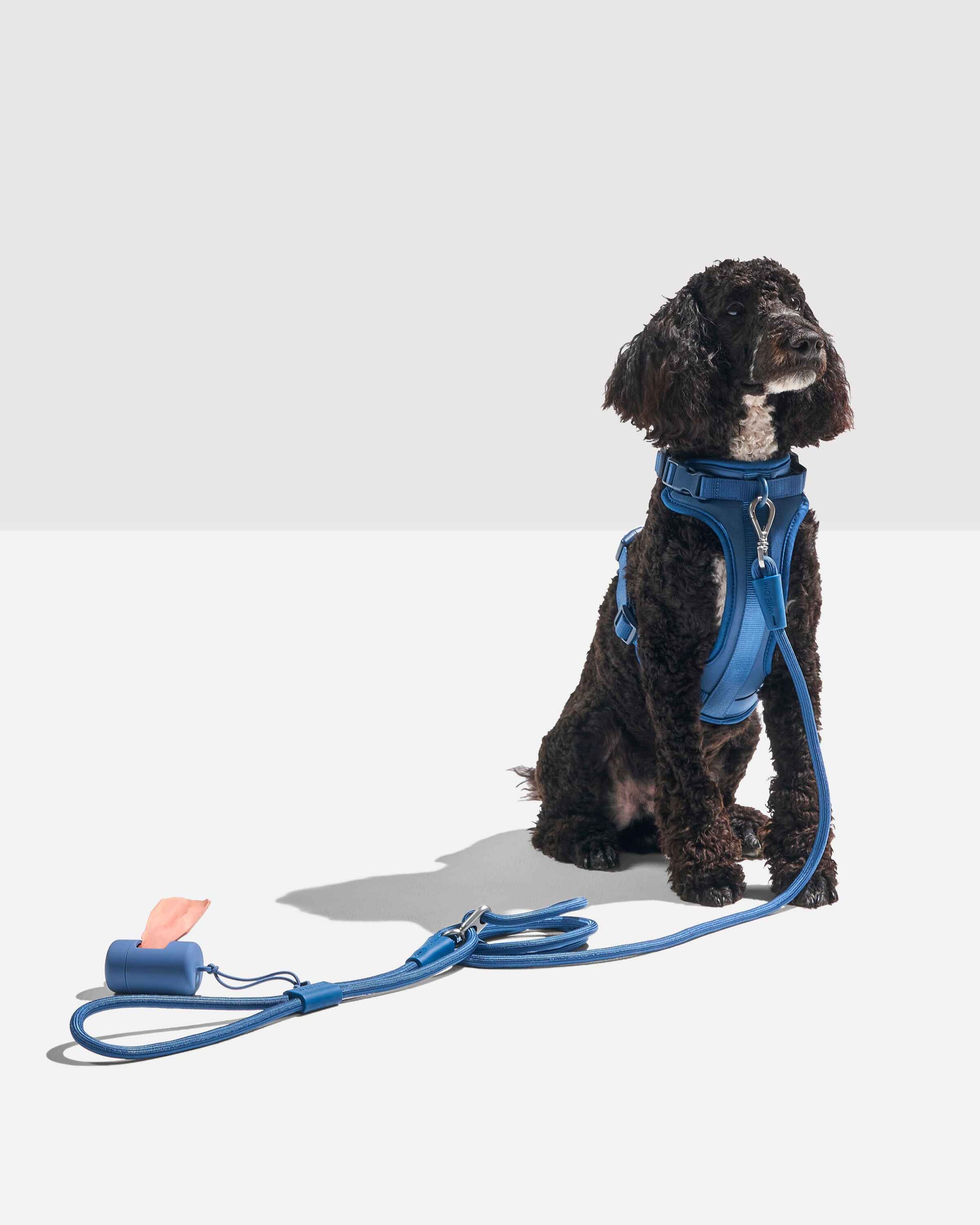 Hands-Free Rope Leash | Wild One