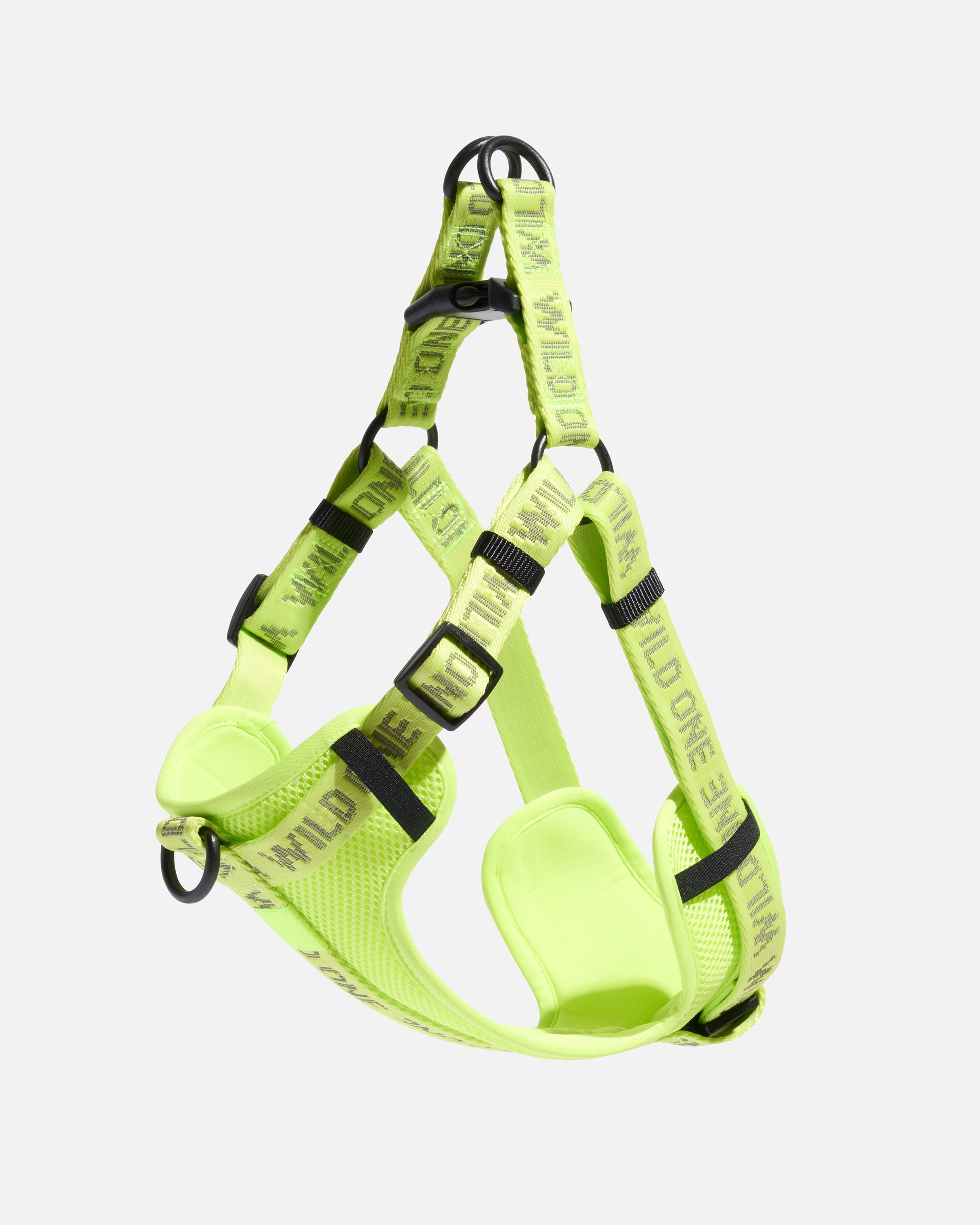 New Arrivals - Our Newest Stuff for Dogs | Wild One