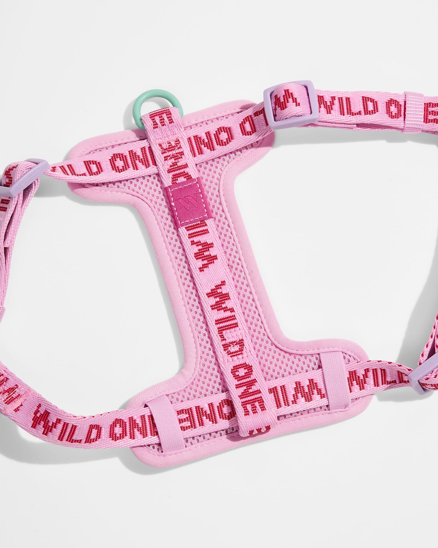 Step-In Harness + Lightweight Leash Walk Kit