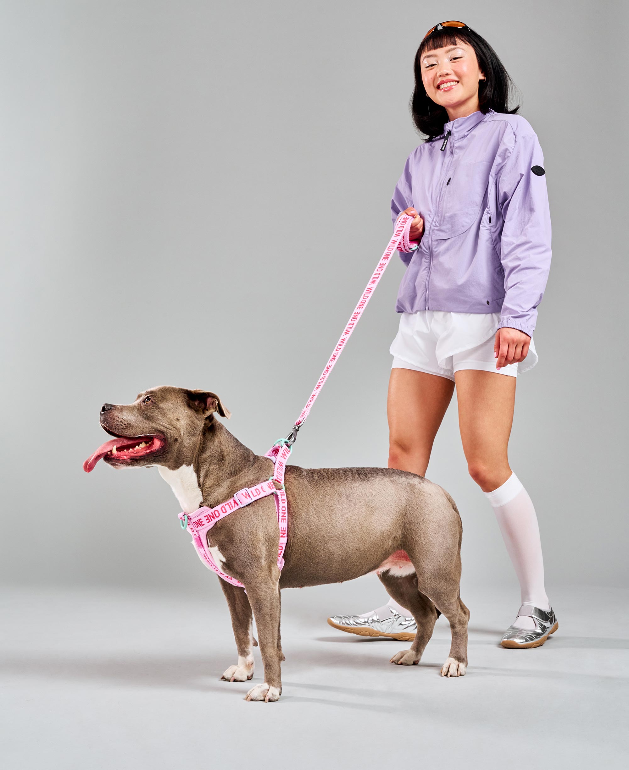 犬用品 Wild One DOG HARNESS Lサイズ ライトパープル