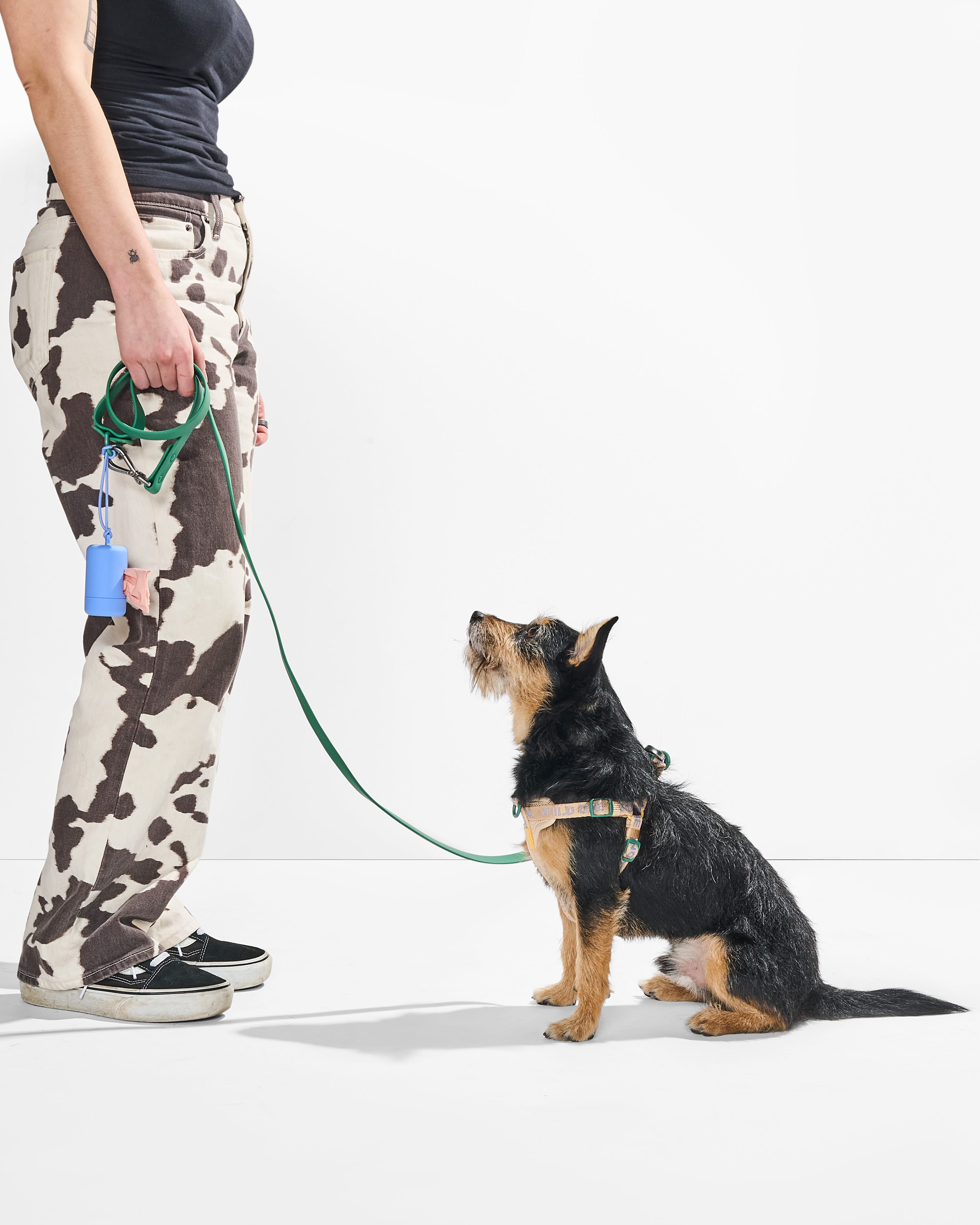 Step-In Harness + Waterproof Leash Dog Walk Kit – Wild One