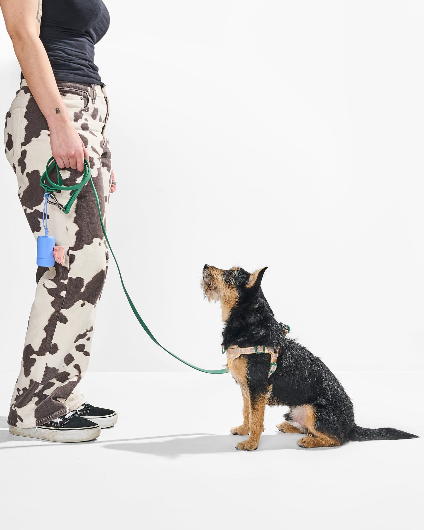 Step-In Harness + Waterproof Leash Walk Kit