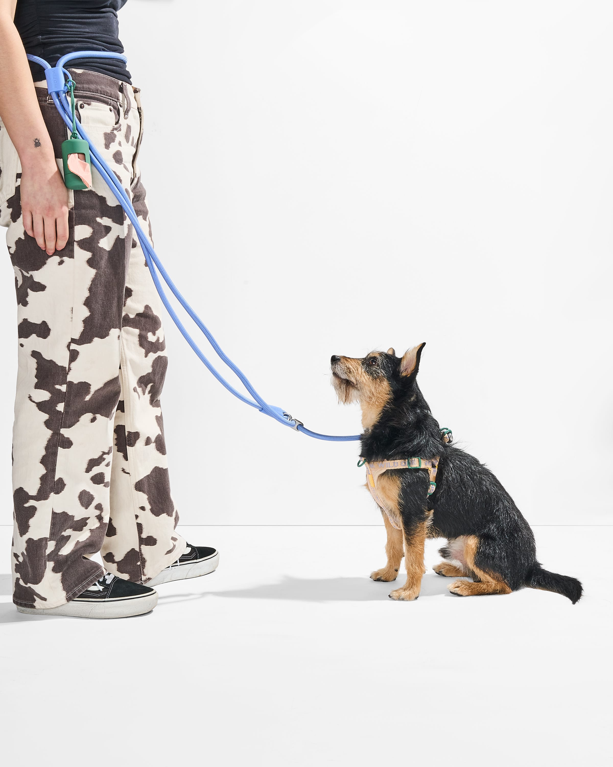Step-In Harness + Hands-Free Rope Leash Dog Walk Kit – Wild One