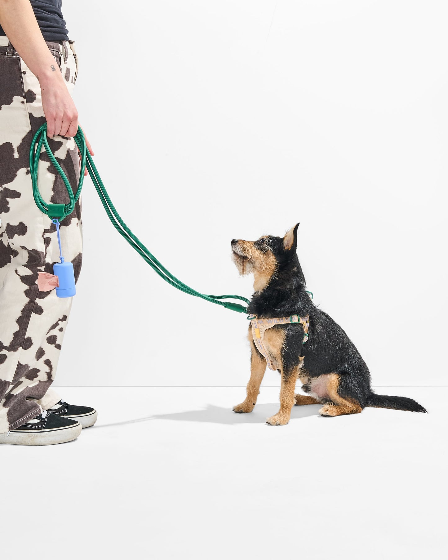 Step-In Harness + Hands-Free Rope Leash Walk Kit