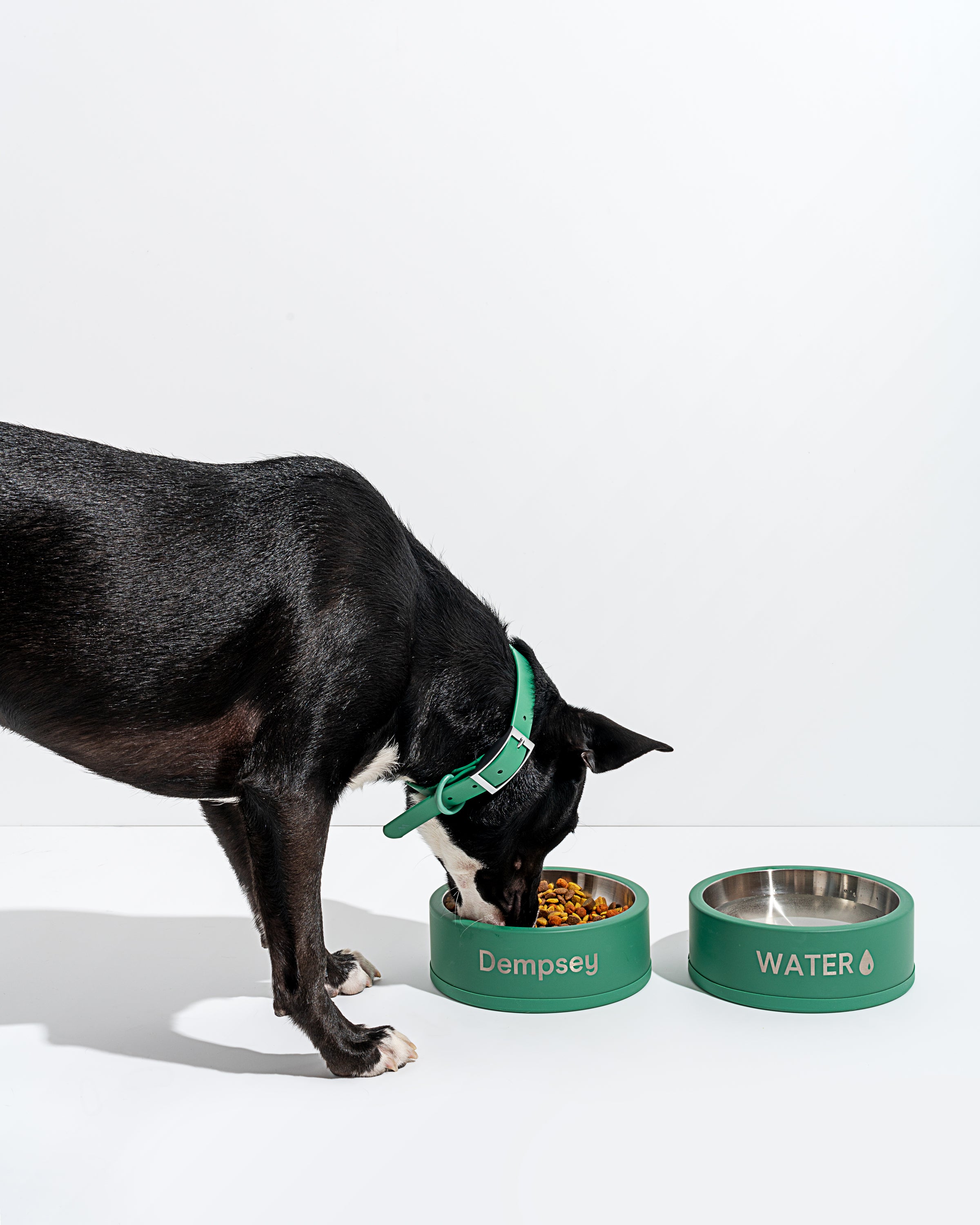 Stainless Steel Dog Bowl & Silicone Mat Set | Wild One
